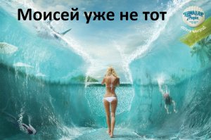 Прикольно. Плюс и в избранное. Подумаю про обои на телефон.
Ну и не дня без шутки: