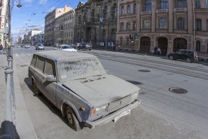 бич каждой весны это -