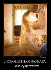 Самые эпичные провалы животных, которые мы видели