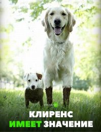  Спасение застрявшей в сугробе собаки