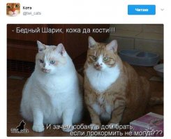 Через год, Боря с другом...