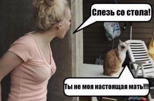 Добра пост: питомцы, которые вымахали на глазах