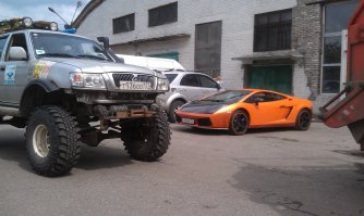 Ну не то, что бы везет. Но попадаются. 
И не боятся ведь. :) 

Ладно бы на пузотерке какой ехал. 
Так у меня капот как у них крыша. :) 

Особенно "маленькие красненькие машинки" любят под правое переднее колесо лезть. 
Хорошо, что практики хватает и я их заранее замечаю. :)