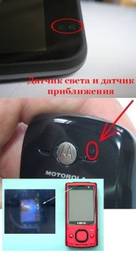 "Эксперименты показали, что видеть гаттерия этим глазом не может, но зато он чутко реагирует на освещенность"
