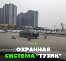 Всегда было интересно, а зачем одно слово, причем не главное в надписи, выделяют зеленым цветом?