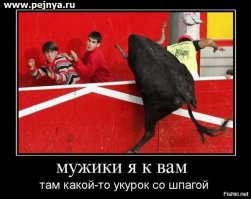 Самые эпичные провалы животных, которые мы видели