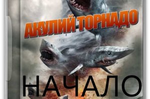 Сильный циклон «выбросил» акулу-людоеда на трассу