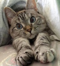 Когда просят сделать непринужденную позу на фото