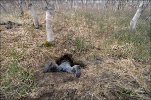 Программа "Доступное жильё" в действии