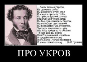 Вы,свидомые,такие потешные дурачки!Адекватных украинцев-уважаю.