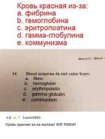 Смешные комментарии и высказывания из социальных сетей
