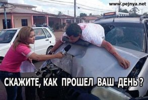 Огромная индейка пробила лобовое стекло автомобиля