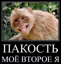 Не знаю, мне кажется яжемать одна виновата!!!
Вот я с дружками детства помню в 90х(нам было по 8-12 лет) каждый день искали себе приключения на задницу. То фонарь уличный снежком разобьешь, то обстреливали шишками 1 и 2 этажи домов один раз даже школу подожгли...(идиоты)
И каждый раз нам давали больших таких триндюлей, а мы все равно шли и пакостили. Зачем? А хрен его знает! Шли и не боялись пока не поймают.
Мораль такова, такие детки как и Михалычи будут всегда, их не переделать! А вот яжематерей с их воспитанием нужно выводить.