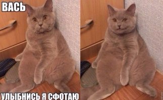 Когда просят сделать непринужденную позу на фото