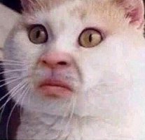 Когда просят сделать непринужденную позу на фото