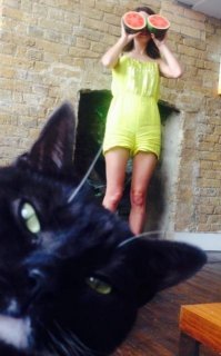 30 веселых фотографий с животными