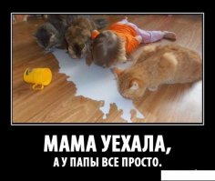 Ох, уж эти дети