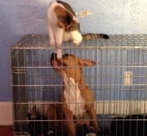 Всё равно ничего не сделаешь.