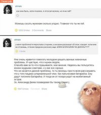 Комментарии из сети