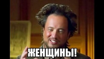 30 веселых фотографий с животными