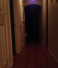 Ели пойти ночью в туалет и увидеть подобное , то можно не донести до пункта назначения