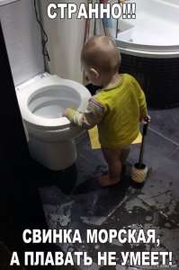 Ох, уж эти дети