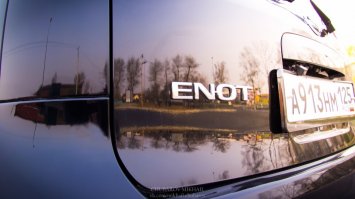 еноты, они повсюду! :)