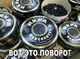 На день рождения тёти , кто-то принёс семки . Пить так и не начали .