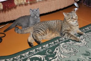 Держи респект, бро!