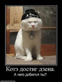 Из Томска до Омска кошка проехала под капотом Скорой помощи