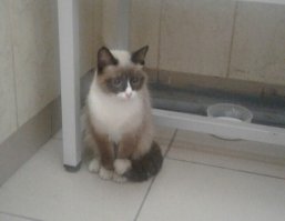 он до сих пор в ШОКе)