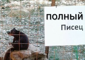 Даже не знаю, что сказать