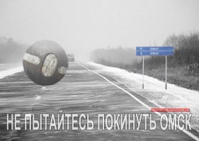 Из Томска до Омска кошка проехала под капотом Скорой помощи