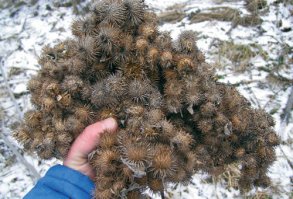 Главное не подпускать к...