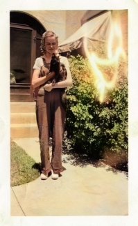 Коты - лучшие друзья девушки