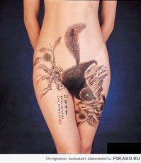 Там наверное другая была белка