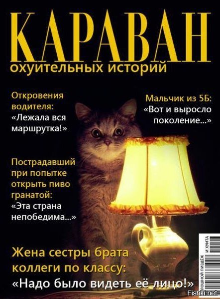 В кафе Цюриха бывший пилот НАТО похвалился тем, как бомбил Балканы, за что его побил серб
