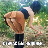 Настоящие молодильные яблоки: вещество, восстанавливающее ДНК, повернуло старение вспять