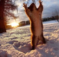 СЛАВА ДОБРЫМ ЛЮДЯМ!!!!