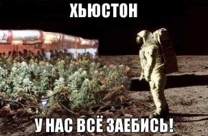 10 необычных животных, побывавших в космосе