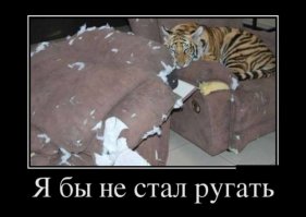 Фотоподборка за 03.04.2017