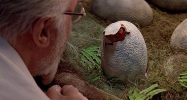 Как я выращивал страуса, по мотивам поста с Фишек