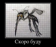 8 убийственных ароматов против комаров