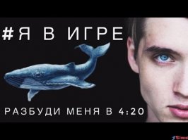 Порция настроения