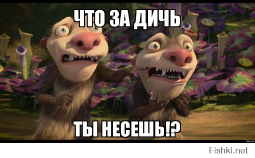 Яжемать посреди скейт-парка