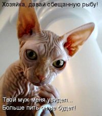 Фотоподборка за 03.04.2017