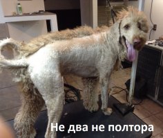 Фотоподборка за 03.04.2017