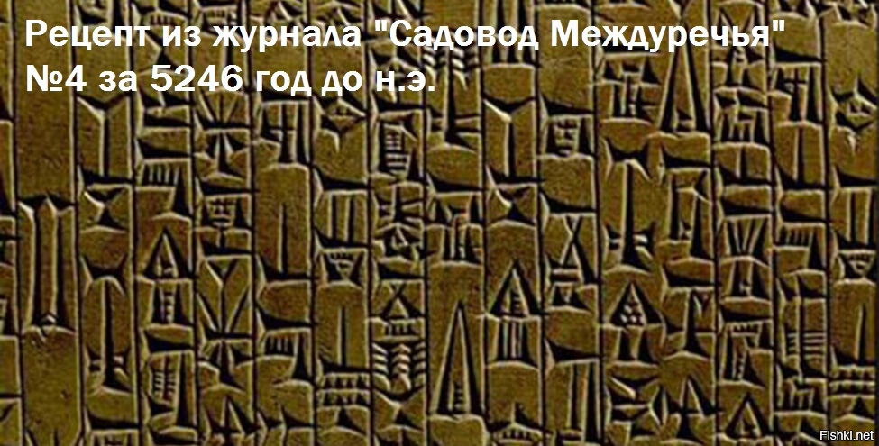 Супер-идея выращивания огурцов в бочке!