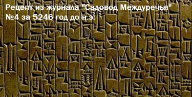 Супер-идея выращивания огурцов в бочке!