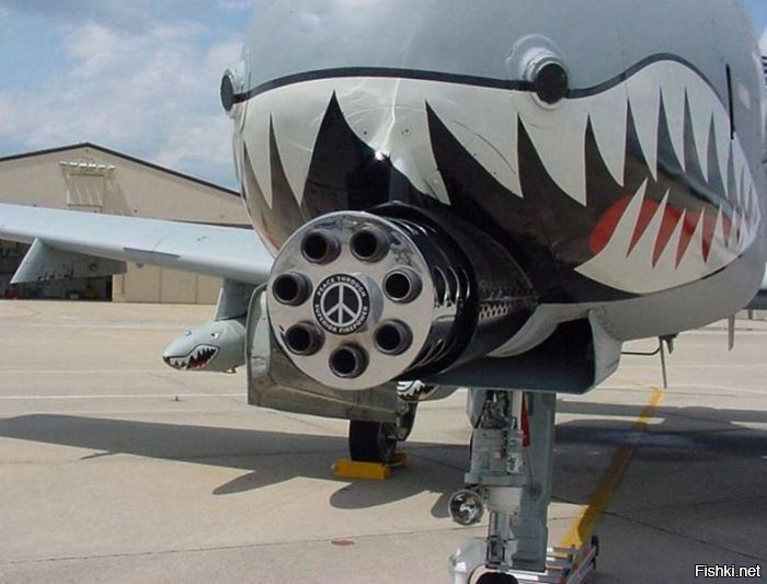 Грач против Бородавочника. Штурмовики Су-25 и А-10